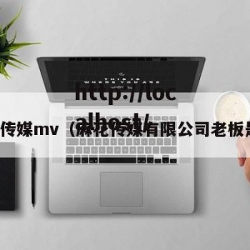 麻花传媒mv（麻花传媒有限公司老板是谁）